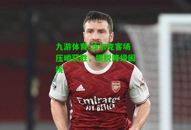 九游体育:沙尔克客场压哨获胜，摆脱降级困境